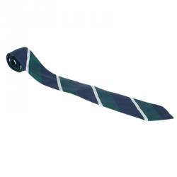 Pre Owned CH Carolina Herrera Green and Blue Striped Silk Tie