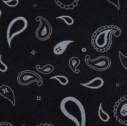 Pre Owned Ermenegildo Zegna Navy Blue Paisley Patterned Silk Tie