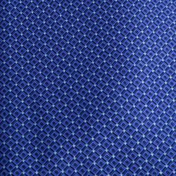Pre Owned Ermenegildo Zegna Blue Printed Silk Tie