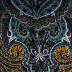 Pre Owned Etro Multicolor Paisley Printed Cotton Long Sleeve Button Front Shirt XL
