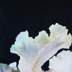 Pre Owned Givenchy Men's Printed Polo Shirt L