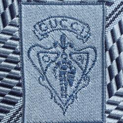 Pre Owned ربطة عنق غوتشي حرير أزرق مغزول مونوغرامي مخطط