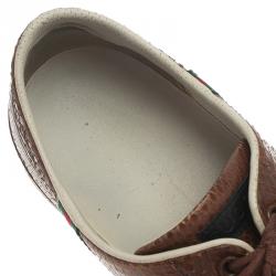 مملوكة مسبقًا Gucci Brown Python Web Detail Sneakers Size 44
