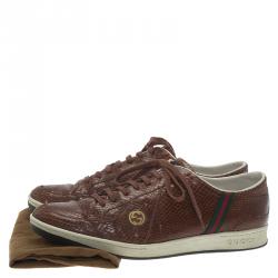 مملوكة مسبقًا Gucci Brown Python Web Detail Sneakers Size 44