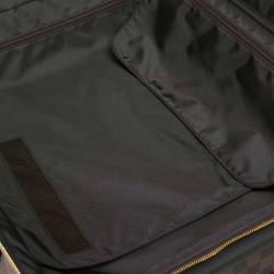 Pre Owned Louis Vuitton Damier Ebene Canvas Pegase 55 Luggage