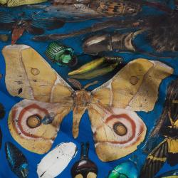Pre Owned Alexander McQueen Blue Bugs Print Square Scarf