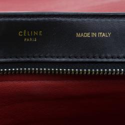 Pre Owned Celine Tricolor Leather Pony Hair Medium Trapeze Bag