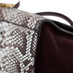 Celine Brown Python and Suede Medium Trapeze Bag