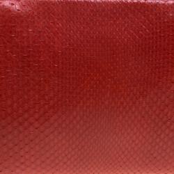 Pre Owned Celine Red Python Vis a Vis Evening Clutch