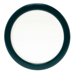 Pre Owned سوار سي أتش كارولينا هيريرا عريض جدا أخضر مقاس M