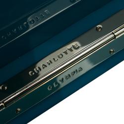 Pre Owned Charlotte Olympia Blue Leopard Print Perspex Spider Pandora Box Clutch