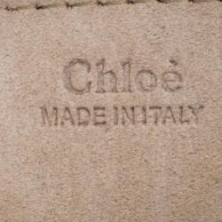 Pre Owned Chloe Burgundy Leather Small Pixie Round Top Handle Bag