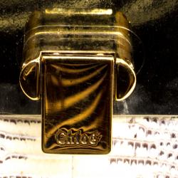 Pre Owned حقيبة كتف كلوي سالي إطار جلد سحلية بيج