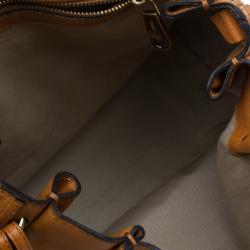 Pre Owned Chloe Tan Leather Medium Elsie Shoulder Bag