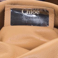 Pre Owned Chloe Burgundy Leather Small Elsie Shoulder Bag