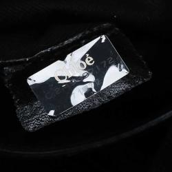 Pre Owned Chloe Blue Python Joan Bucket bag