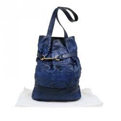 Pre Owned Chloe Blue Python Joan Bucket bag