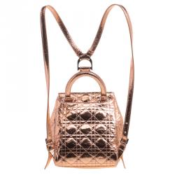 Dior Metallic Bronze Ceramic Effect Leather Stardust Backpack