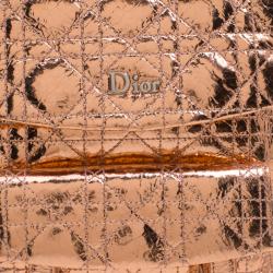 Dior Metallic Bronze Ceramic Effect Leather Stardust Backpack