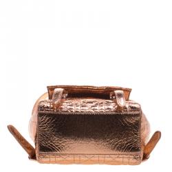 Dior Metallic Bronze Ceramic Effect Leather Stardust Backpack