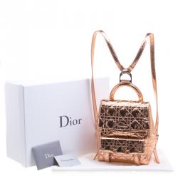 Dior Metallic Bronze Ceramic Effect Leather Stardust Backpack