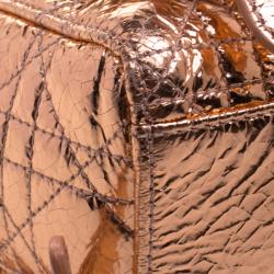 Dior Metallic Bronze Ceramic Effect Leather Stardust Backpack