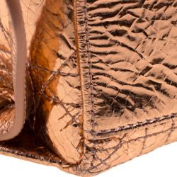 Dior Metallic Bronze Ceramic Effect Leather Stardust Backpack