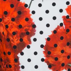 Pre Owned Dolce & Gabbana Polka-dot Floral Print Dress M