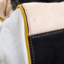 مملوكة مسبقًا Dolce And Gabbana Multicolor Leather Miss Pocket Satchel