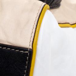 مملوكة مسبقًا Dolce And Gabbana Multicolor Leather Miss Pocket Satchel