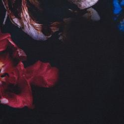 Pre Owned Elie Saab Black Floral Print Zip Detail Jacket S