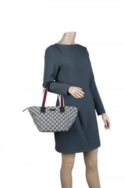 مملوكة مسبقًا Gucci Beige/Blue GG Canvas Small Vintage Web Tote