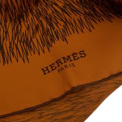 Pre Owned Hermes Orange Silk Grass Printed Scarf
