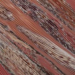 Pre Owned Hermes Light Pink Plisse Shell Printed Silk Rocaille Scarf