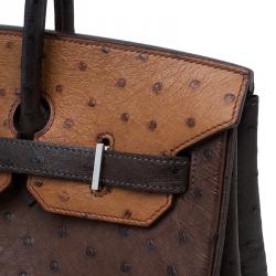 Hermes Brown Tri Color Ostrich Leather Palladium Birkin 35 Bag