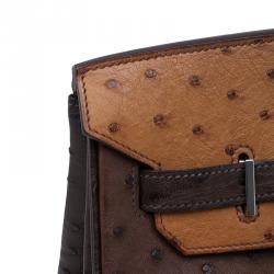 Hermes Brown Tri Color Ostrich Leather Palladium Birkin 35 Bag