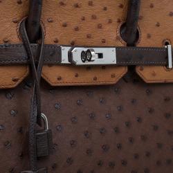 Hermes Brown Tri Color Ostrich Leather Palladium Birkin 35 Bag
