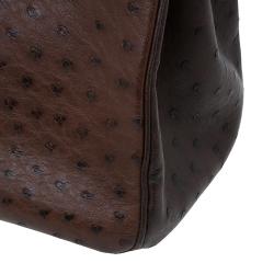 Hermes Brown Tri Color Ostrich Leather Palladium Birkin 35 Bag