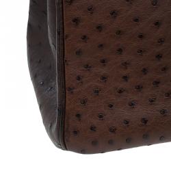 Hermes Brown Tri Color Ostrich Leather Palladium Birkin 35 Bag
