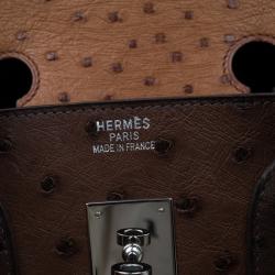 Hermes Brown Tri Color Ostrich Leather Palladium Birkin 35 Bag