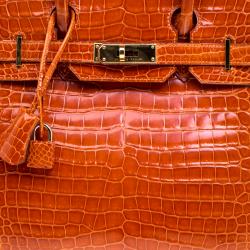 Hermes Fauve Porosus Crocodile Gold Hardware Birkin 30 Bag