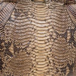 مملوكة مسبقًا حقيبة يد جيمي تشو جلد ثعبان بيج