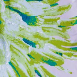 مملوكة مسبقًا Just Cavalli Multicolor Printed Top M