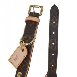 Pre Owned طوق كلب لوي فيتون بيكستر كانفاس مونوغرامي MM