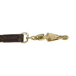 مملوكة مسبقًا Louis Vuitton Monogram Canvas Baxter Dog Leash MM