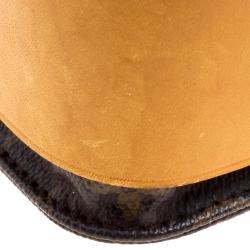 Pre Owned Louis Vuitton Monogram Canvas Cartouchiere MM Bag