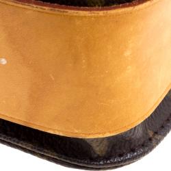 Pre Owned Louis Vuitton Monogram Canvas Cartouchiere MM Bag