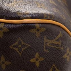 Pre Owned Louis Vuitton Monogram Canvas Delightful MM Bag