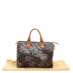 Pre Owned Louis Vuitton Monogram Canvas Limited Edition Dentelle Speedy 30