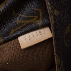 مملوكة مسبقًا Louis Vuitton Monogram Canvas Totally PM Bag